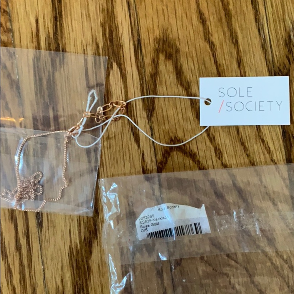 Sole society rose gold necklace - Picture 4 of 4